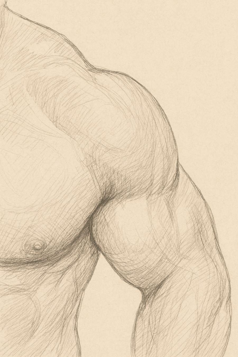 Pencil sketch of shoulder anatomy